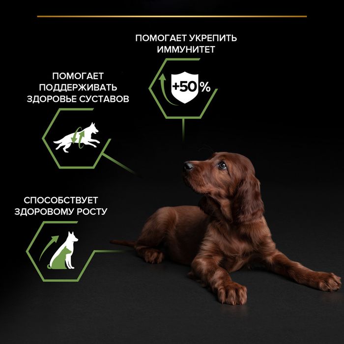 Сухой корм Pro Plan® Healthy Start для щенков крупных пород с атлетическим телосложением, с высоким содержанием курицы