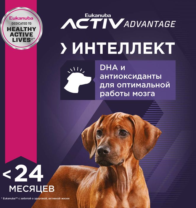 Eukanuba Puppy Large Breed сухой корм для щенков крупных пород с курицей