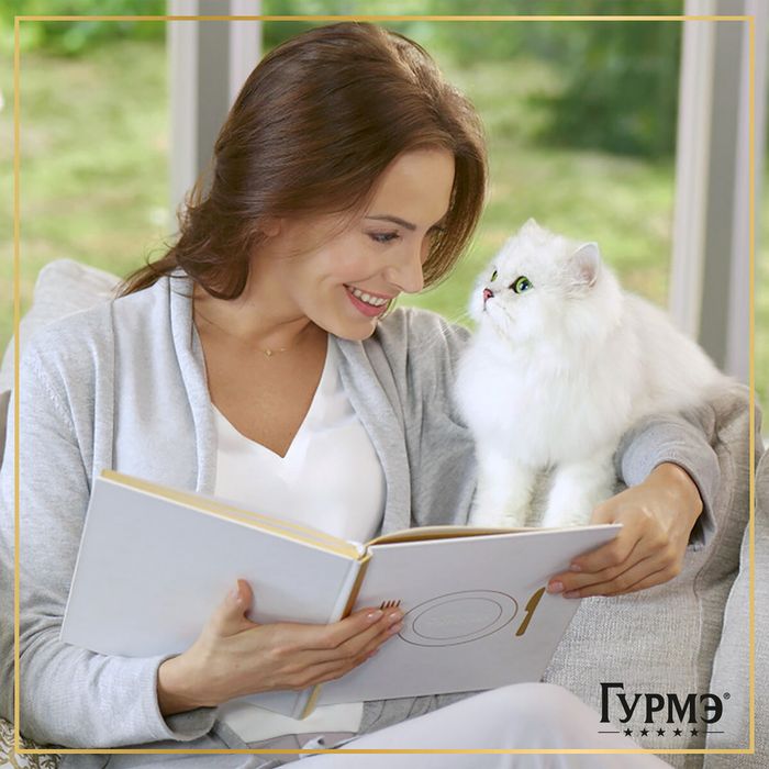 Влажный корм Гурмэ® Перл Соус Де-люкс для кошек, с лососем в роскошном соусе