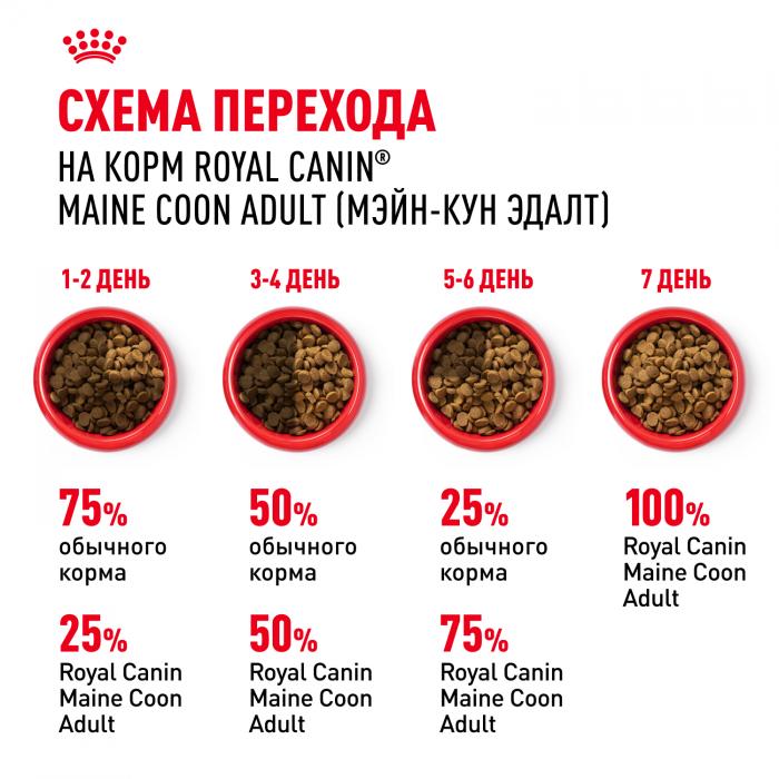 Royal Canin Maine Coon Adult сухой корм для крупных кошек породы мейн-кун