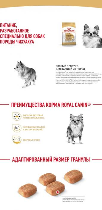 Royal Canin Chihuahua сухой корм для собак породы чихуахуа старше 8 месяцев