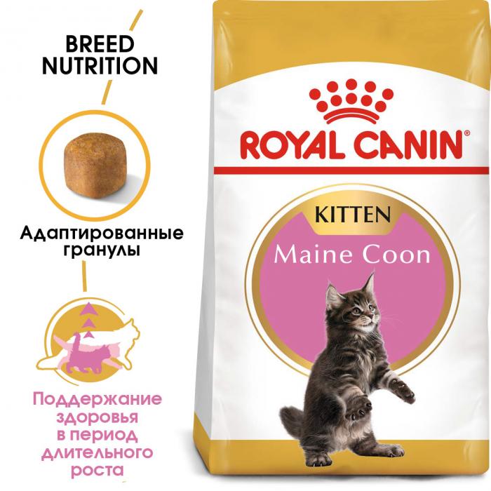 Royal Canin Kitten Maine Coon сухой корм для котят породы мейн-кун