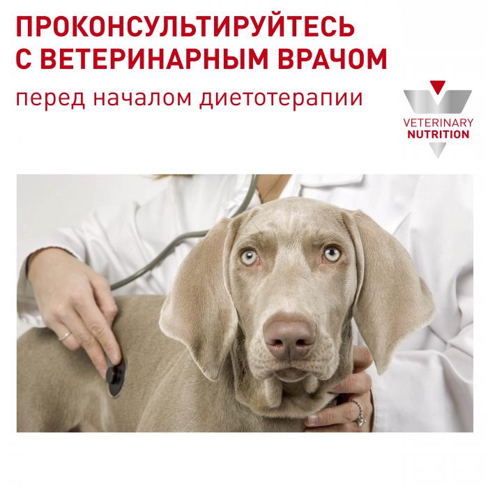 Royal Canin Neutered Adult Medium Dogs сухой корм для кастрированных собак средних пород