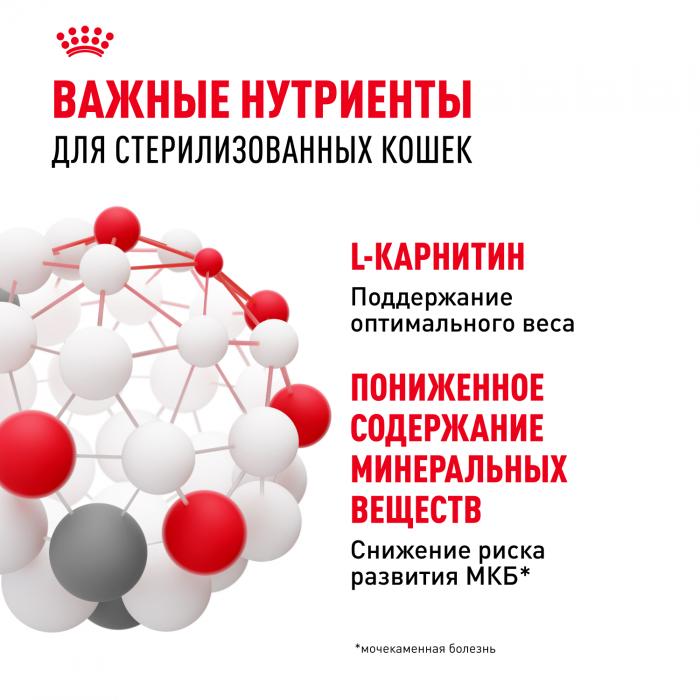 Royal Canin влажный корм для стерилизованных взрослых кошек всех пород, кусочки в соусе