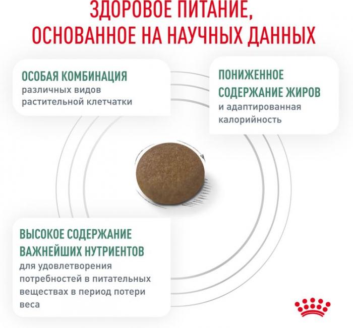 Royal Canin корм для взрослых и пожилых кошек всех пород, контроль веса, птица