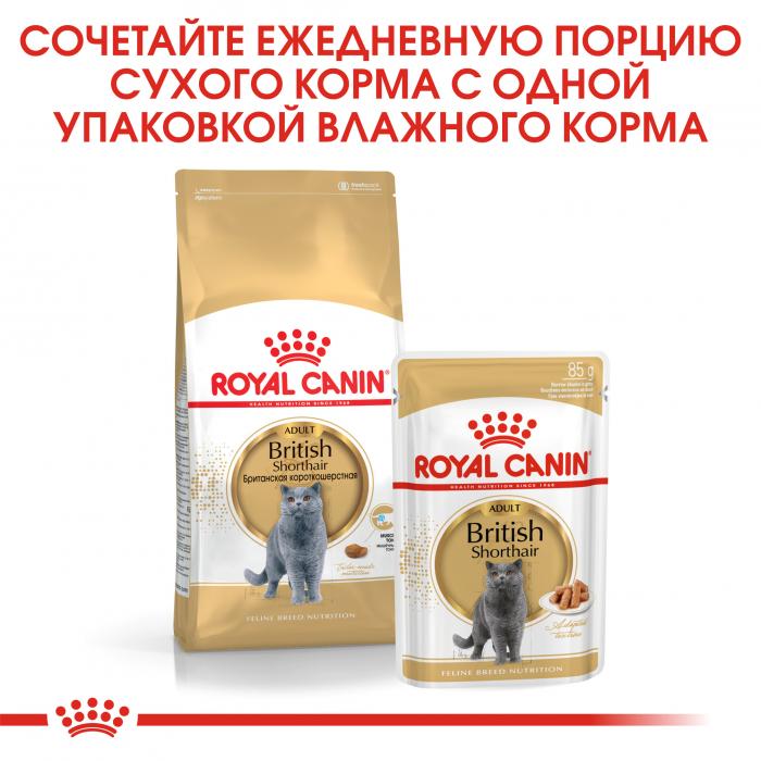 Royal Canin British Shorthair Adult влажный корм для кошек британской короткошерстной породы в соусе