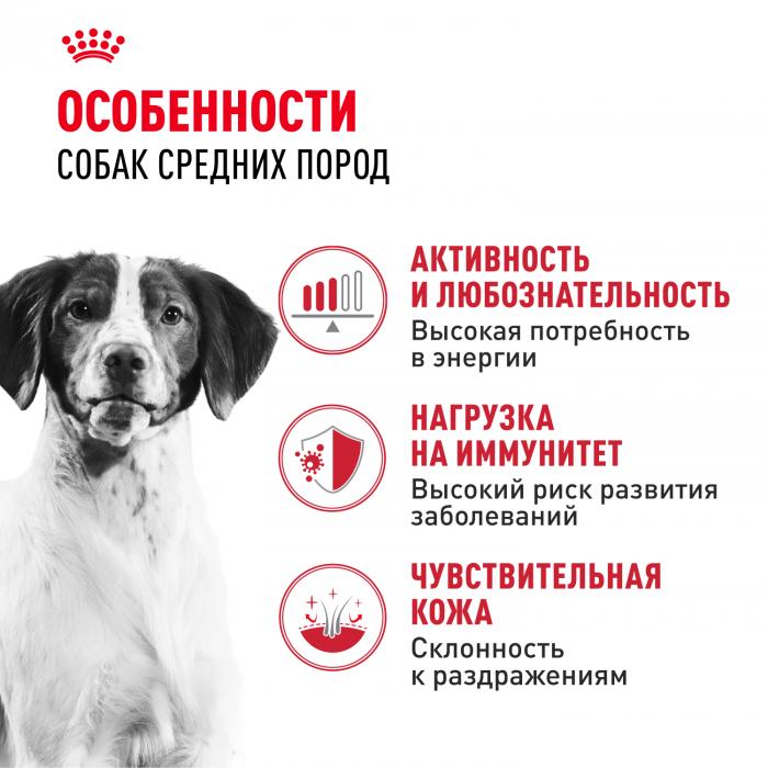 Royal Canin Medium Adult сухой корм для собак средних пород с 12 месяцев до 7 лет