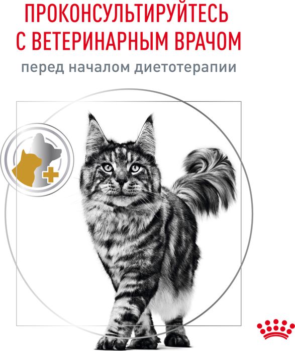 Royal Canin Urinary S/O влажный корм для кошек, при мочекаменной болезни, мелкие кусочки в соусе