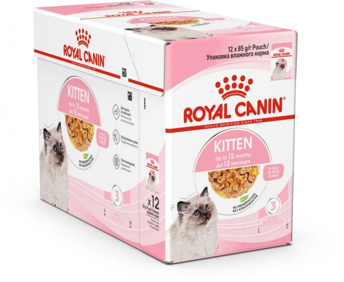 Royal Canin влажный корм для котят всех пород, в желе