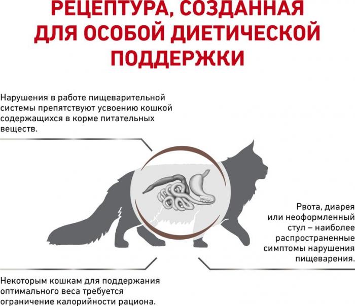 Royal Canin Gastro Intestinal Moderate Calorie лечебный корм для кошек с умеренным содержанием энергии при нарушениях пищеварения