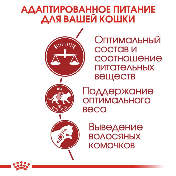 Royal Canin Fit сухой корм для кошек с умеренной активностью