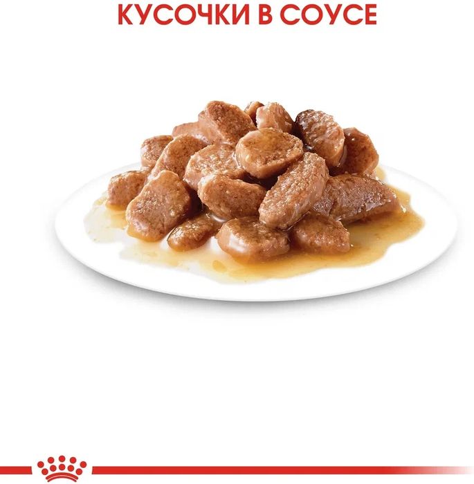 Royal Canin влажный корм для стерилизованных взрослых кошек всех пород, кусочки в соусе