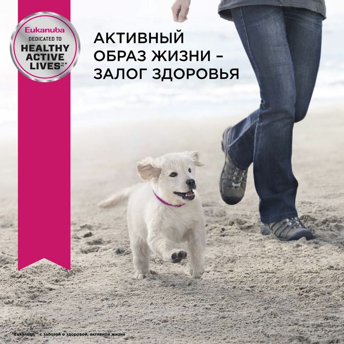 Eukanuba Puppy Toy Breed сухой корм для щенков миниатюрных пород с курицей