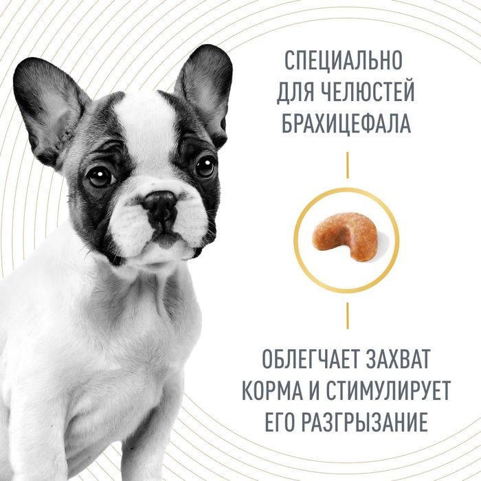 Royal Canin French Bulldog Puppy корм для щенков породы Французский Бульдог до 12 месяцев