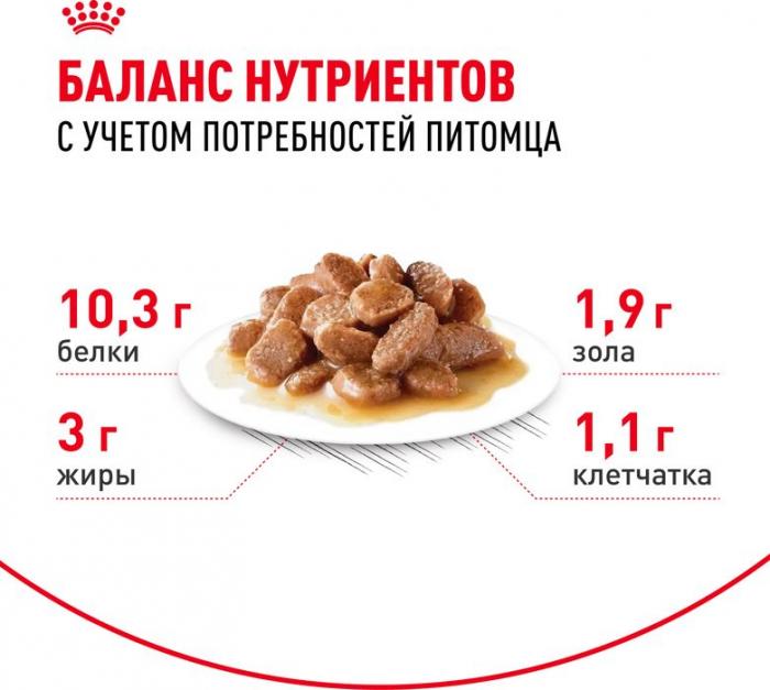 Royal Canin Indoor влажный корм для стерилизованных пожилых кошек, кусочки в соусе
