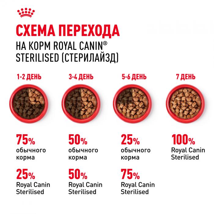 Royal Canin влажный корм для стерилизованных взрослых кошек всех пород, кусочки в желе