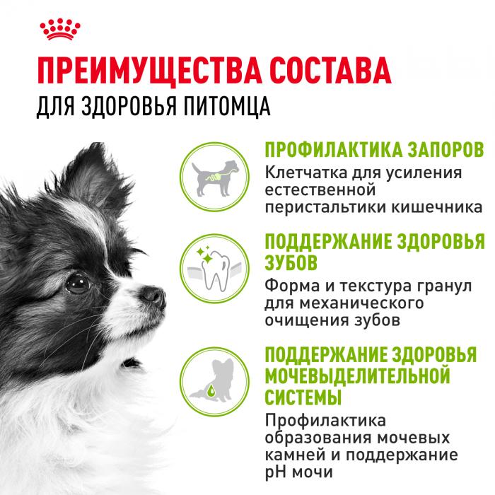 Royal Canin X-Small Adult сухой корм для собак миниатюрных пород