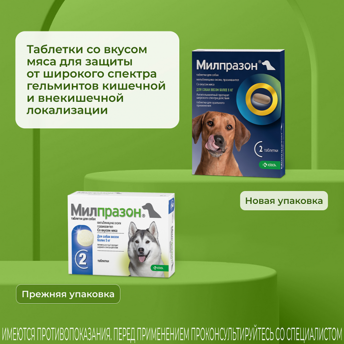 KRKA Милпразон для собак крупных пород более 5 кг, от глистов, 12,5 мг/125 мг