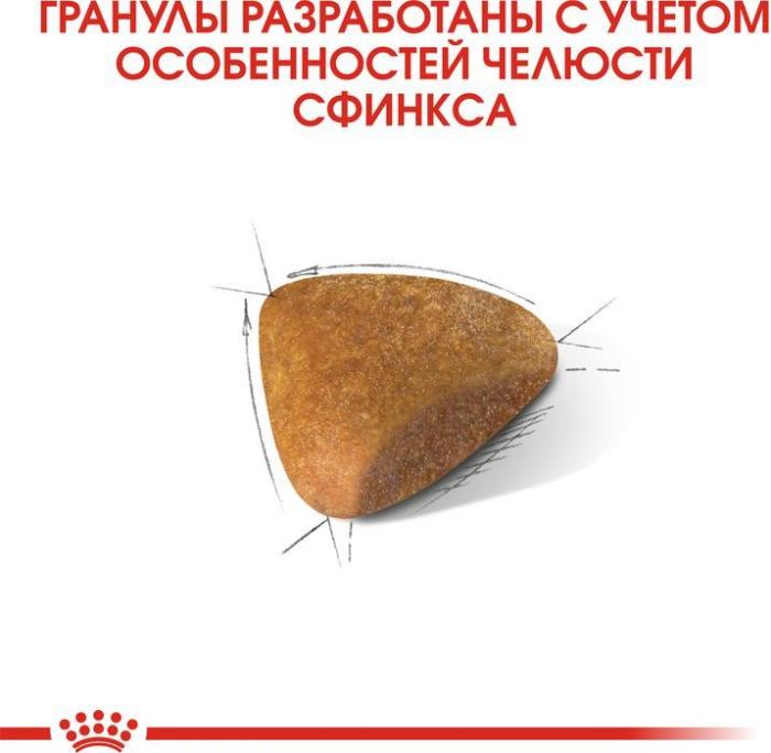 Royal Canin корм для взрослой кошки породы Сфинкс