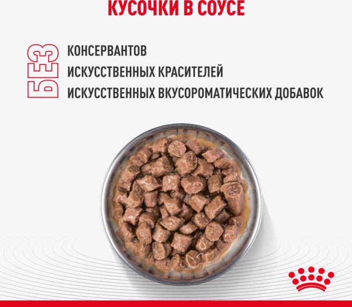Royal Canin влажный корм для стерилизованных котят, кусочки в соусе