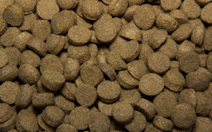 All Dogs корм для взрослых собак всех пород, с говядиной и овощами