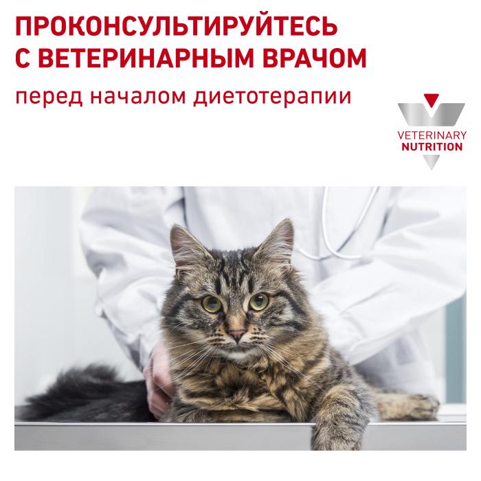 Royal Canin Gastro Intestinal влажный корм для кошек при нарушениях пищеварения