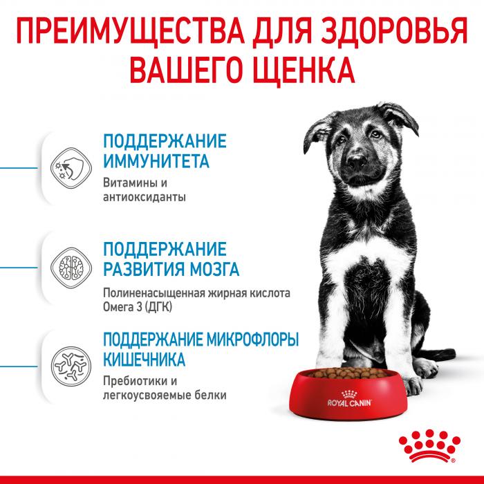 Royal Canin Maxi Puppy сухой корм для щенков крупных пород
