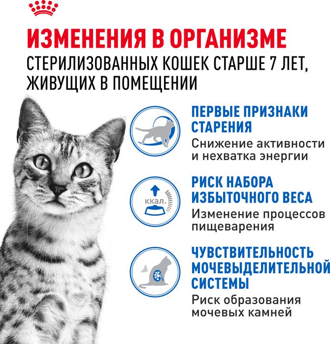 Royal Canin Indoor влажный корм для стерилизованных пожилых кошек, кусочки в желе