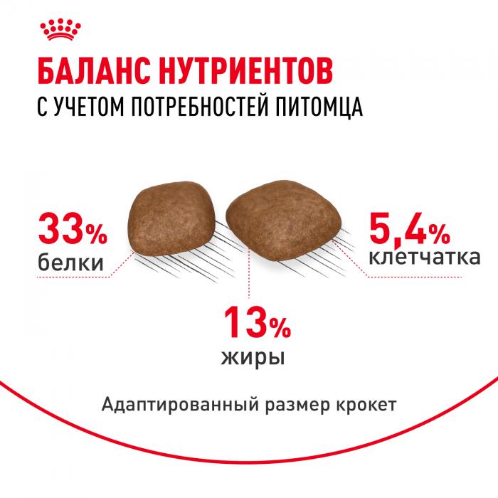 Royal Canin Urinary Care сухой корм для профилактики МКБ у кошек