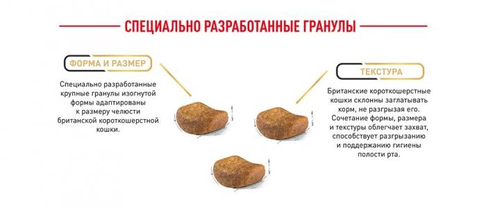 Royal Canin Maine Coon Adult сухой корм для крупных кошек породы мейн-кун