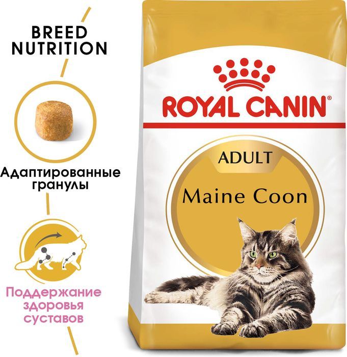 Royal Canin корм для взрослой кошки породы Мэйн Кун