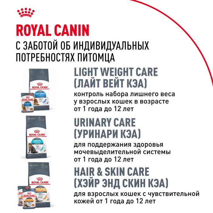 Royal Canin Maine Coon Adult сухой корм для крупных кошек породы мейн-кун