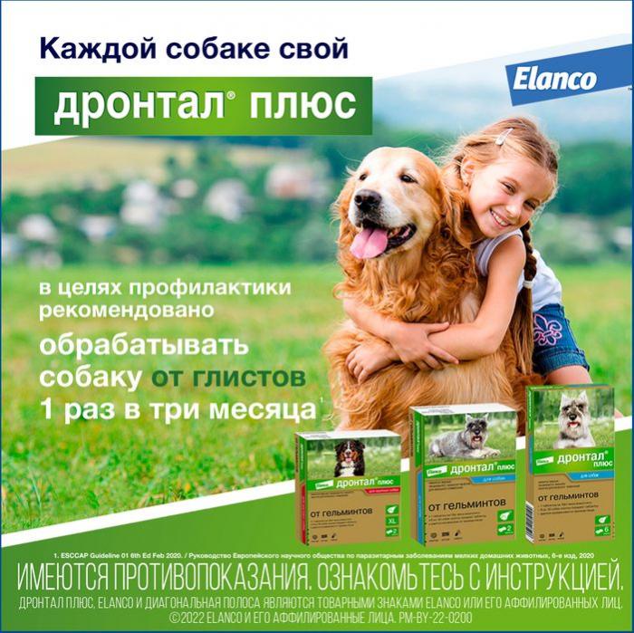Elanco Дронтал плюс таблетки для собак малых и средних пород, от гельминтов, со вкусом мяса
