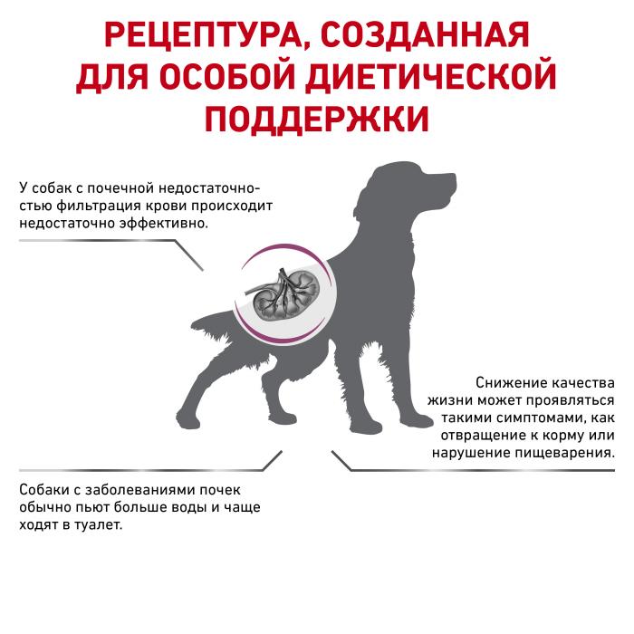 Royal Canin корм для взрослых собак всех пород с хронической болезнью почек