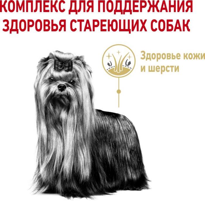 Royal Canin корм для собак породы Йоркширский Терьер в возрасте 8 лет и старше