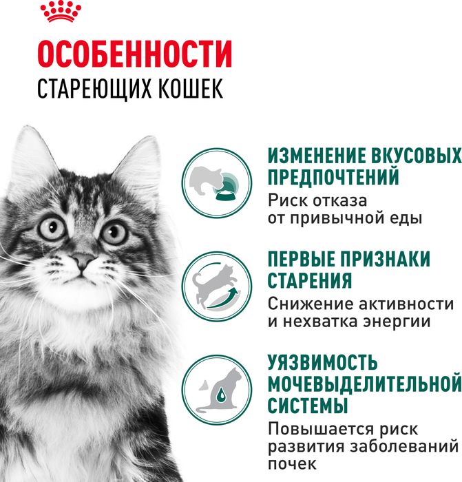 Royal Canin влажный корм для пожилых кошек всех пород, мелкие кусочки в соусе