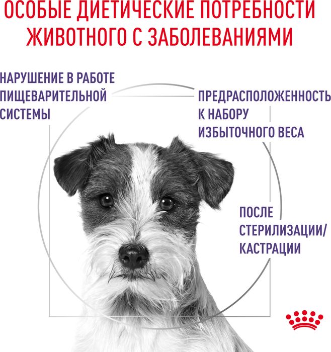 Royal Canin Neutered S корм для взрослых стерилизованных собак малых пород