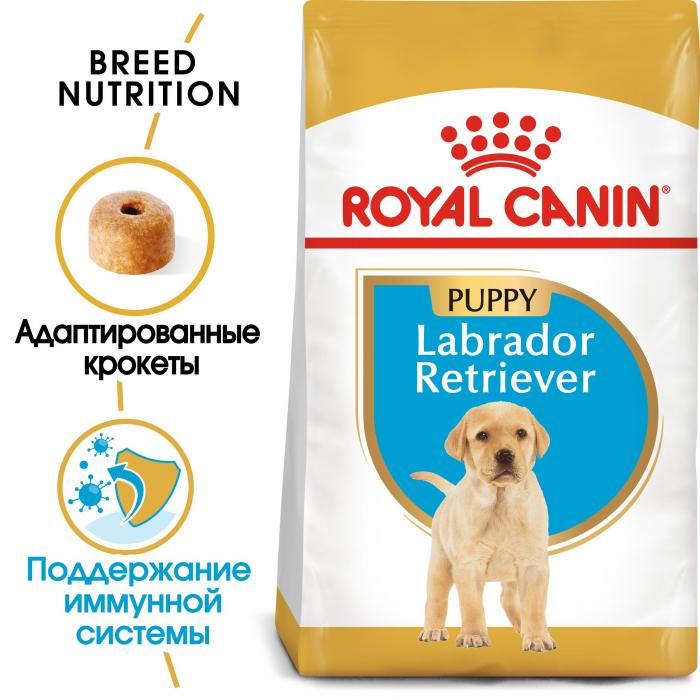 Royal Canin Labrador Retriver Junior сухой корм для щенков породы лабрадор ретривер от 2 до 15 месяцев
