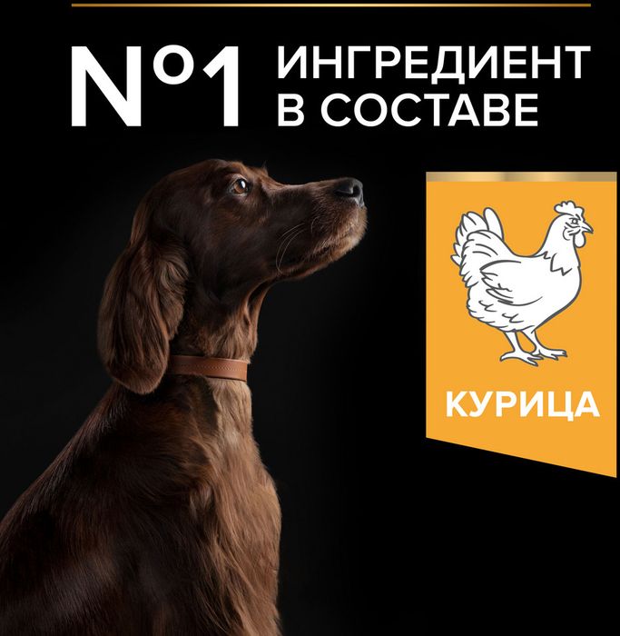 Сухой корм Pro Plan® Everyday Nutrition для взрослых собак крупных пород с атлетическим телосложением, с высоким содержанием курицы