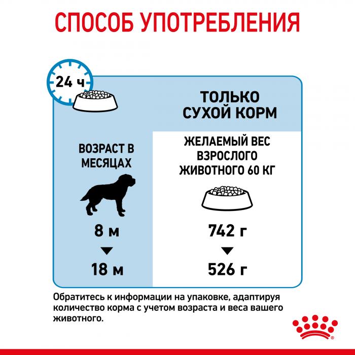 Royal Canin Giant Junior сухой корм для щенков гигантских пород