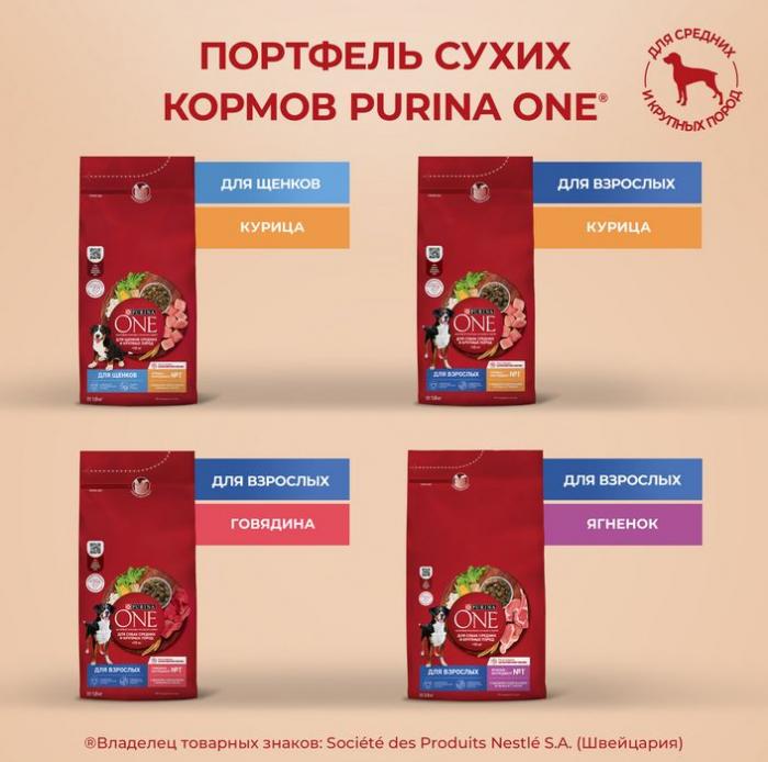 Сухой корм Purina ONE® для взрослых собак средних и крупных пород, с высоким содержанием курицы и рисом