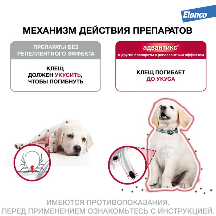 Elanco Адвантикс капли для щенков и собак 10-25 кг, от клещей, блох и комаров