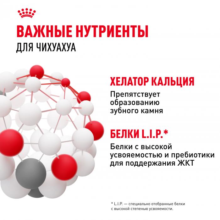 Royal Canin Chihuahua сухой корм для собак породы чихуахуа старше 8 месяцев