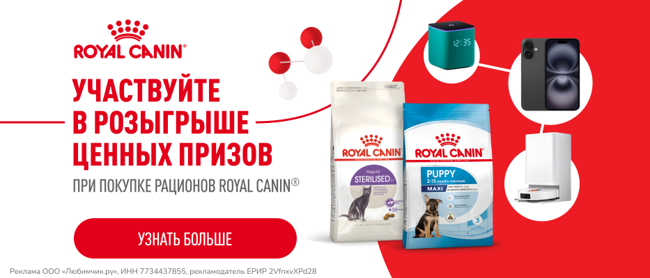 Royal Canin Розыгрыш