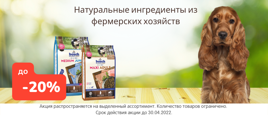 Интернет Магазин Товаров Для Животных Минск Интернет Магазин Товаров Для Животных Минск