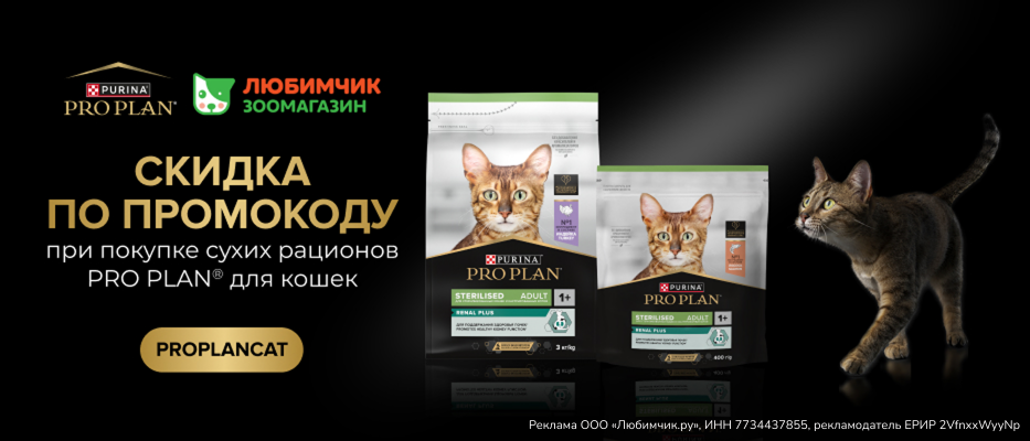 Скидка 10% по промокоду на Pro Plan Cat Dry