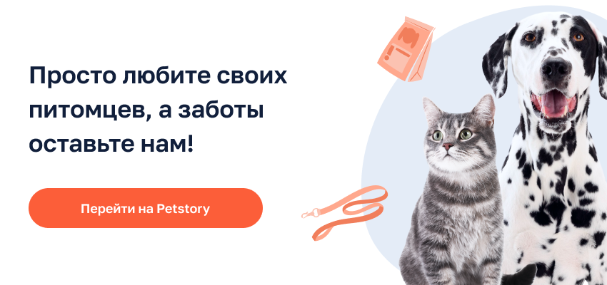Зоомагазин Спб Интернет Магазин Недорого Зоомагазин Спб Интернет Магазин Недорого