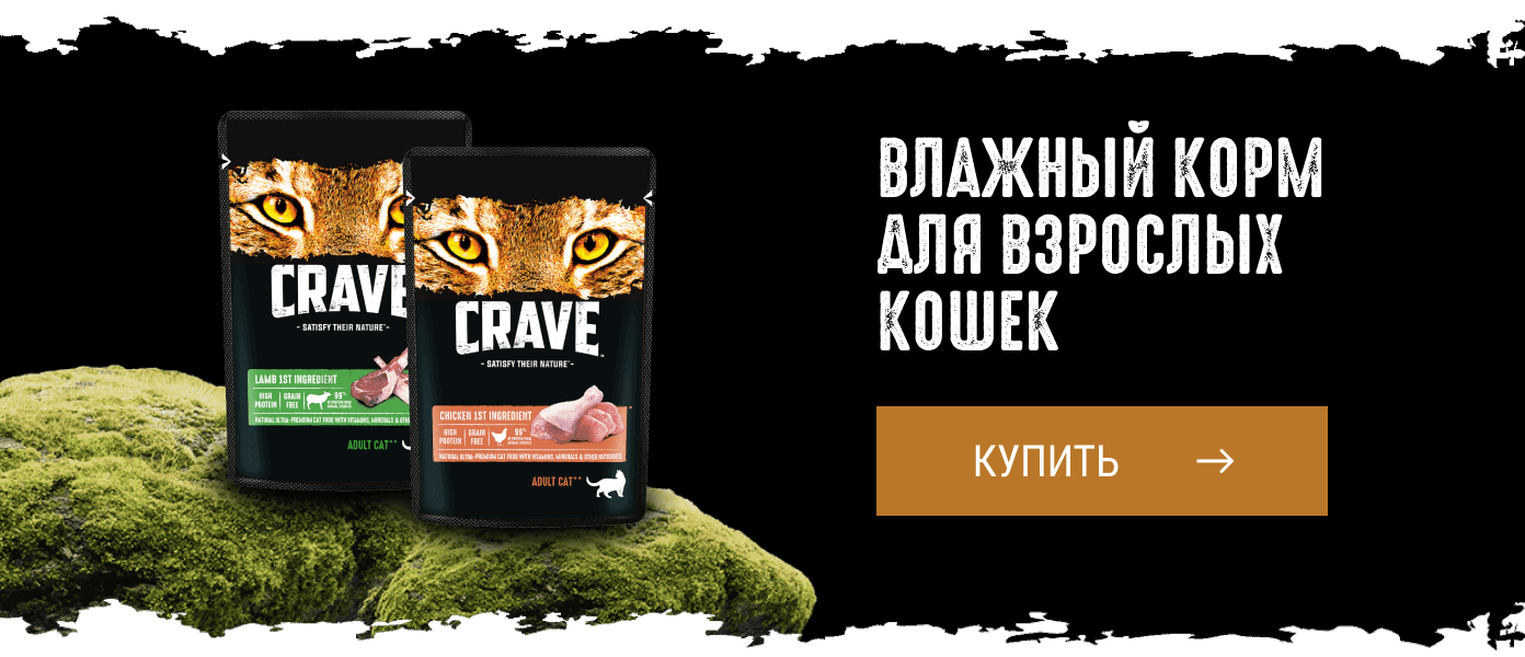 Влажный корм для взрослых кошек