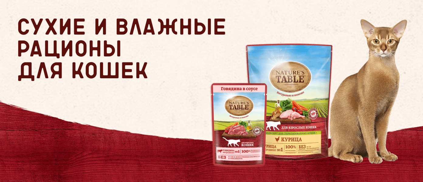 Купить Сухие и влажные рационы для кошек