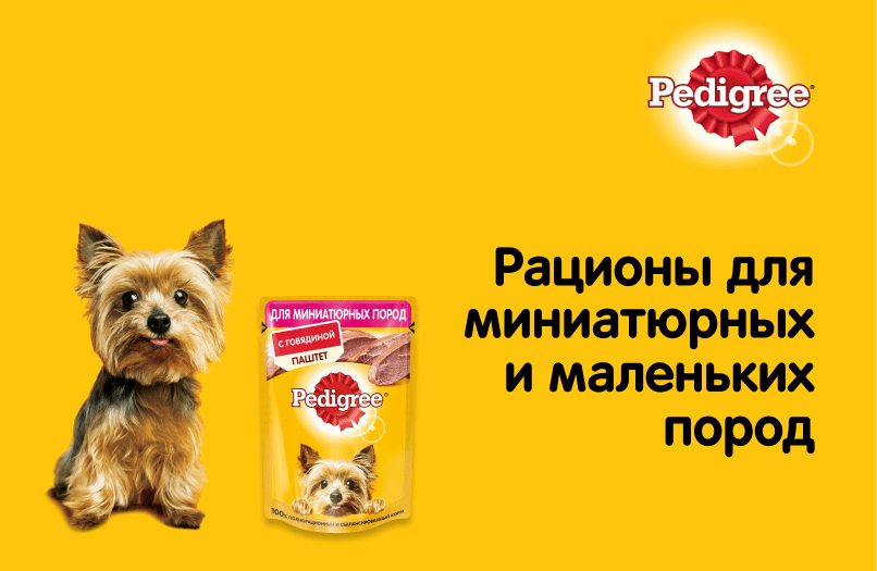 Рационы для миниатюрных и маленьких пород